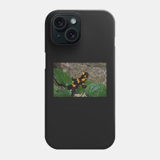 Fire Salamander on Rock Phone Case