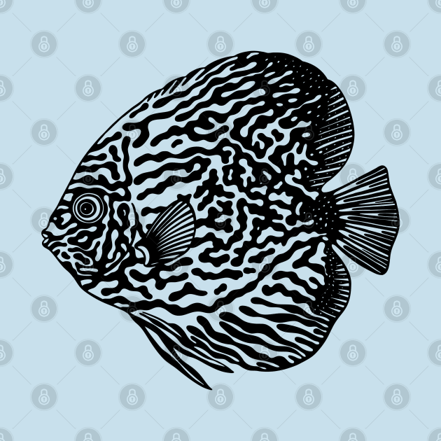 Discus Fish or Pompadour Fish - animal drawing for fish lovers by Green Paladin