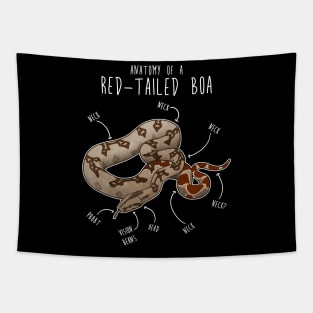 Red-Tailed Boa Snake Anatomy Tapestry