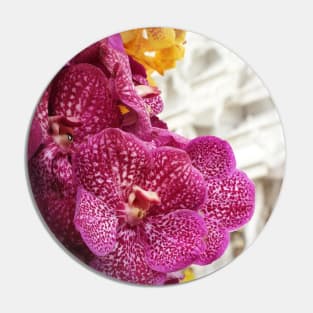 Thai Orchid Pin