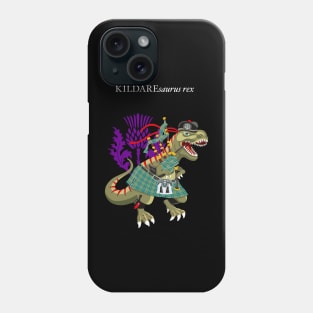 Clanosaurus Rex KILDAREsaurus Plaid Kildare Irish Ireland Family Tartan Phone Case