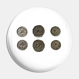 First Jewish Revolt coins (C022/3062) Pin