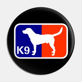 Lab K9 Pin