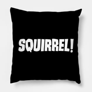 Squirrel Pillow