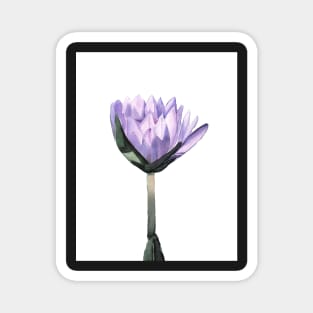 Water Lily Watercolor Painting Magnet