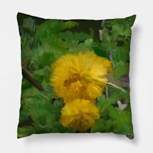 Acacia farnesiana or Kolū in Hawaiian Pillow