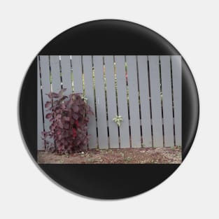 fence Pin