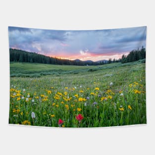 Beautiful Blossoming Flower Field-Spring Tapestry