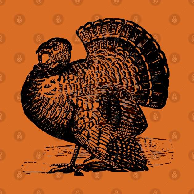 Turkey Gobbler Tom Turkey Thanksgiving Vintage Design by penandinkdesign@hotmail.com