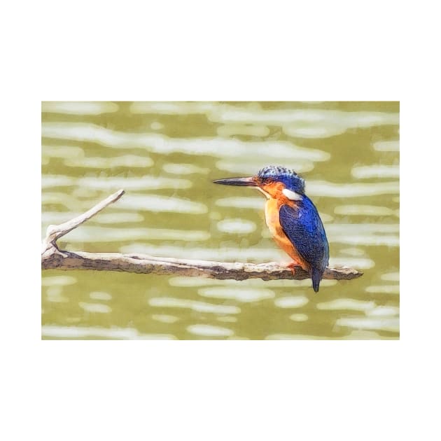 Malagasy Kingfisher by GrahamPrentice