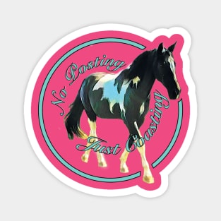 No Posting Just Coasting Tennessee Walking Horse Magnet