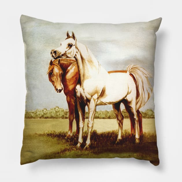 Arabian Horses. Best Friends. Pillow by chepea2