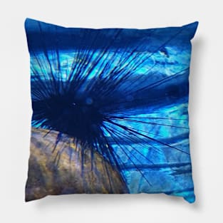 Sea Urchin Pillow