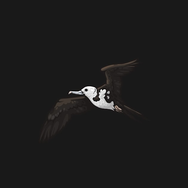 Ascension Frigatebird by Ginboy