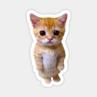 El Gato Munchkin Kitty Magnet