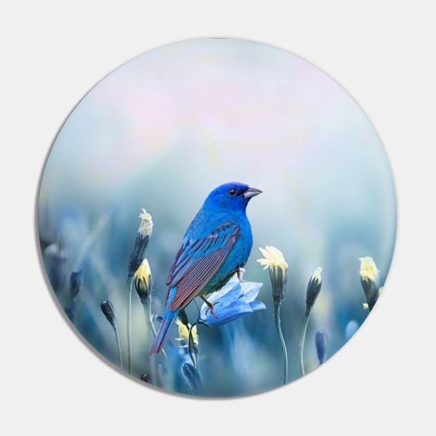 Indigo Bunting Bird in Spring Pin by lauradyoung