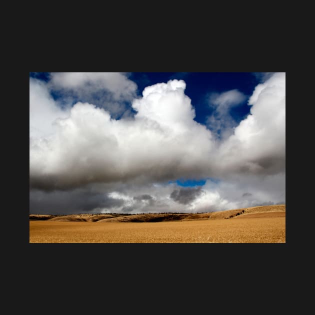 Australian Farmland Landscape by jwwallace