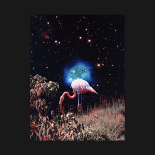 Curious Flamingo - Space Collage, Retro Futurism, Sci-Fi T-Shirt