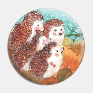 A Hedgehog’s Tale Pin