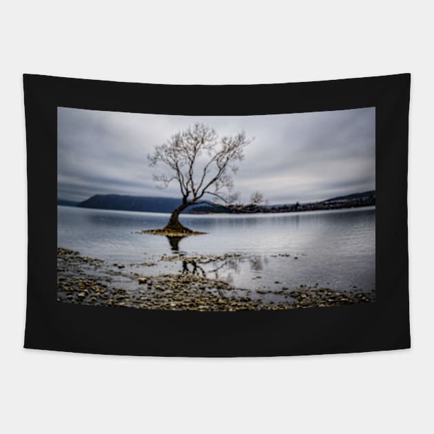 Lone tree stands in Lake Wanaka, New Zealand Tapestry by blacksands