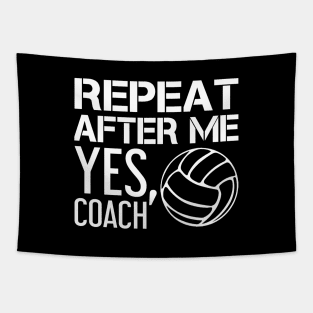 'After Me, Yes Coach' Witty Baseball Coach Gift Tapestry