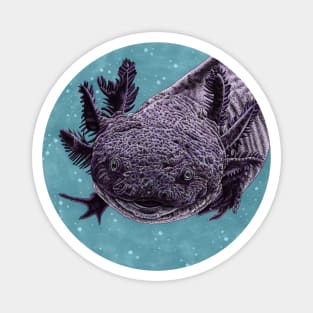 Purple axolotl Magnet