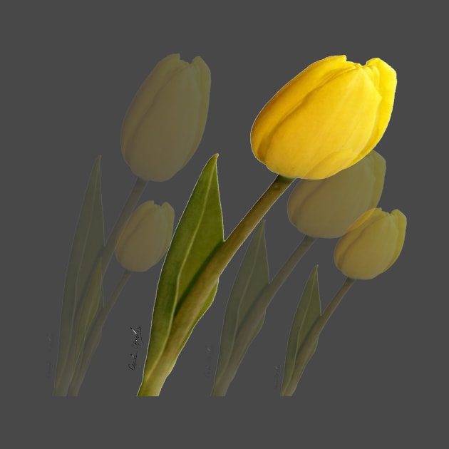 5 Yellow  Tulips by Cecile Grace Charles by CecileGraceCharles