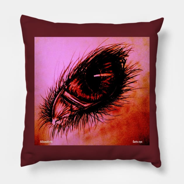 Cats eye Pillow by AllansArts