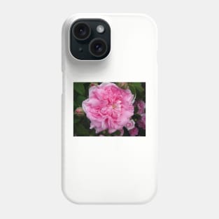 Pink Rose Photo - Vintage Phone Case