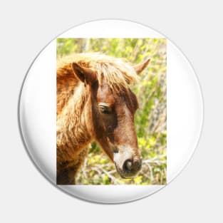 Assateague Pony Wyld Wynds Colt Pin