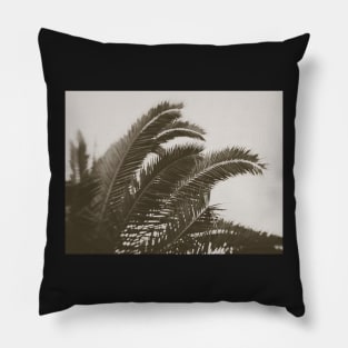 Black And White Palm Pillow