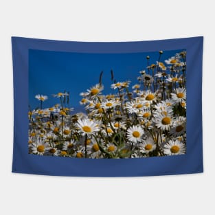 Blue sky and daisies Tapestry