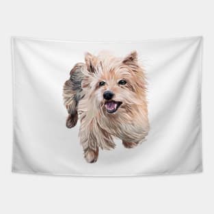 Comet the Australian Silky Terrier Tapestry