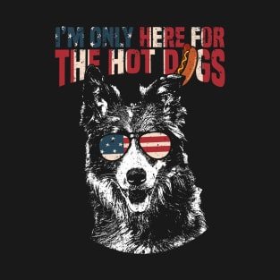 Border Collie Shirt Funny 4th of July T-Shirt