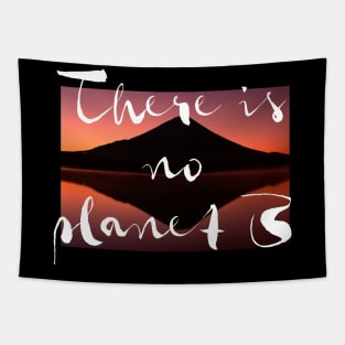 PLANET B Fuji Night (white) Tapestry