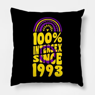 100 Percent Since 1993 Rainbow Birthday Pillow