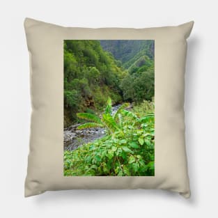 Iao Valley State Monument Study 10 Pillow
