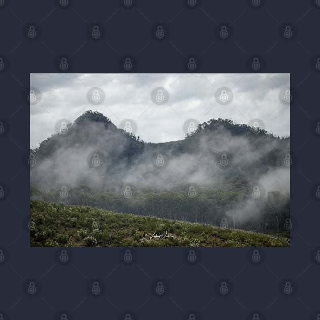 Cathedral Range, Taggerty, Victoria, Australia. by VickiWalsh