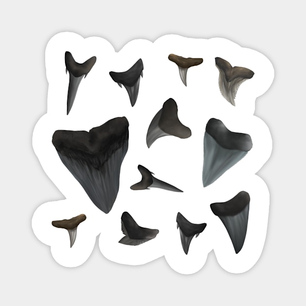 Assorted Shark Teeth Magnet by Reeseworks