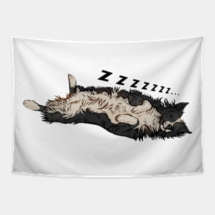 Snooze Border collie Tapestry