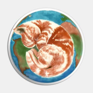 CAT PLANET Pin