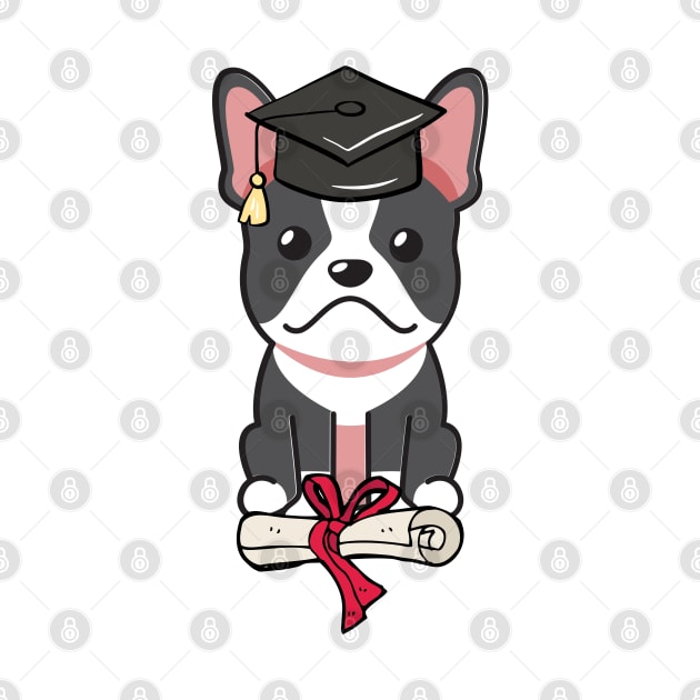 Funny dog is graduating by Pet Station