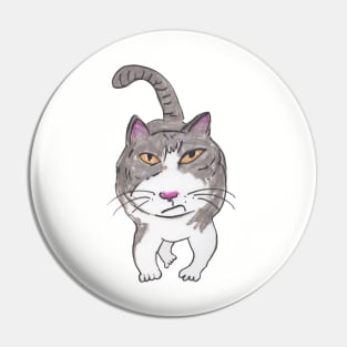 Fun Cranky Cat Friend Doodle Pin