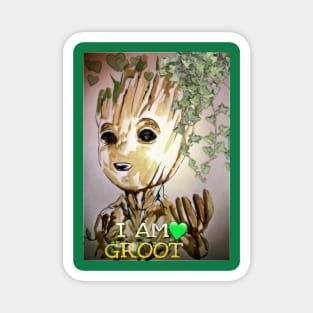 Groot Magnet