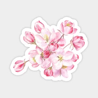 Cherry blossom Magnet