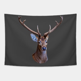 Stag Head Tapestry