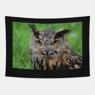 european eagle owl Tapestry