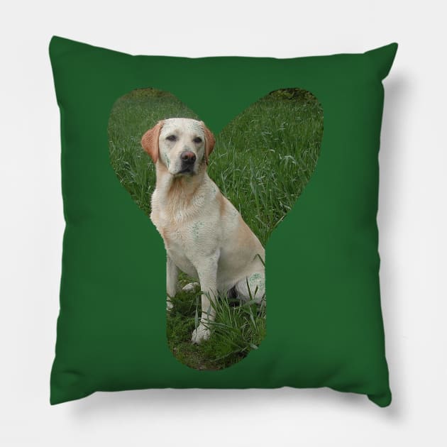 Labrador retriever yellow in Y Pillow by Wanderingangel