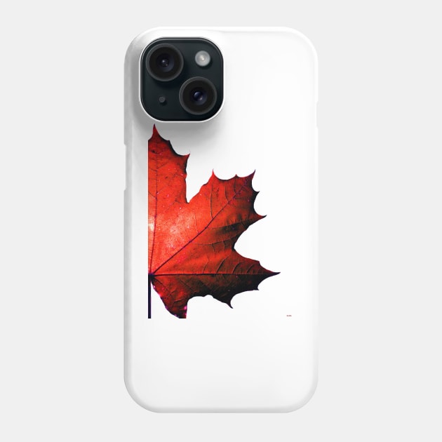 Maple Phone Case by danieljanda