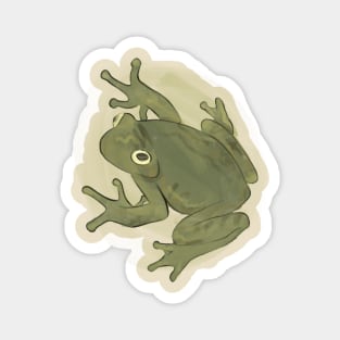 Froggy Magnet